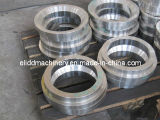 Stainless Steel Forging/Forging Wheel (ELIDD-223A)