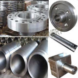Open Die Forging / Steel Forging / Valves/Flange/Roller