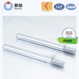 Professional Factory Non-Standard Worm Gear Screw Shaft for Industry