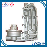 OEM Customized Rotor Die Casting (SY1088)