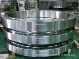 Ring Forging Large Forging Carbon Steel Stainless Steel (SJH)