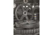 Spur Gears Stainless Forging Precision Gear M1.5