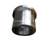Forged Steel Flange with Different Inside and Outside Diameter (FL-004)