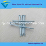 China Vida Industry & Business Co., Ltd.