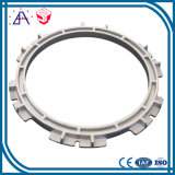 High-Precision Aluminium Die Casting Motor Parts (SYD0227)