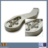 Precision Aluminum Parts Custom Precision Machining Parts (MQ2163)
