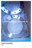 Forged Stainless Steel Flat Face Plate Flanges