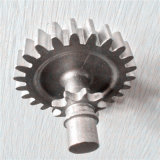 Stainless Steel Gear-Stainless Steel Precision Casting