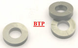 Fasteners&Metal Cold Forging Accessories Plate (BTP-A074)