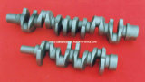 Forged Steel Crank Shaft with Different Sizes (FCS-01)