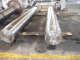Stainless Steel Forging Bars