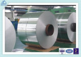 Popular Hot Rolled Aluminum Coil Alloy with ISO/SGS (5005, 5052, 5083, 5182, 5754)