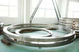 Seamless Rolled Ring (PKZD9)