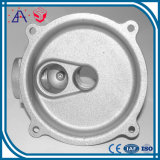 Professional Custom Injection Die Casting Products (SY0137)