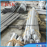 Cylinder Linear Rail/Linear Shaft (WCS30/SFS30)