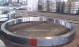 Steel Ring Forging and Flange Products
