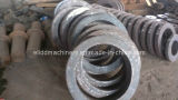 Stainless Steel Flange Forging/Pipe Fittings (ELIDD-SDDX)