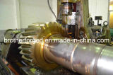 Gear Shaft, Industrial Forging Shaft, Transmission Gear and Shaft