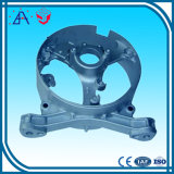 Made in China Aluminum Die Casting Lighting Parts (SY0721)