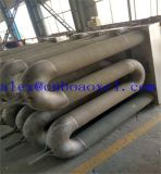 W-Type Radiant Tube Used in Steel Mill
