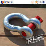 Steel Forging Galvanized Bow Shackle