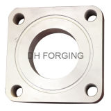 Forged Square Flange