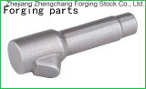 Carbon Steel Fuel Injector with Aurto Parts by Forging