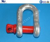 Hot Dipped Galv. G210 U. S. Type Drop Forged Dee Shackle