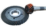 Bevel Gear Stainless Forged Spiral Bevel Gear