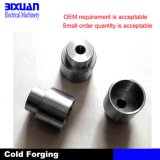 Cold Forging Parts Steel Casting Machining Part