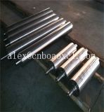 Centrifugal Casting Sink Roll Used in Plating Silicon Line