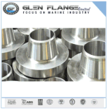 Ss Flanges