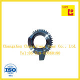 ISO ANSI Standard Andoizing Special Gear with Keyway