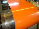 Prime Pre-Painted Hot Dipped Galvanized Steel Coil /Sheet/Galvanized Roll/Aluminized Plate