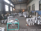 Processing Flanges