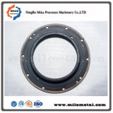High Quality Custom-Made Flange with Nitriding China Professional Manufacturer