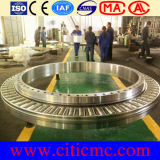 Largest Casting & Large Bearing Rings