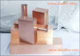 Uns C17510 Nickel Beryllium Copper Alloy for Projection Welding Dies