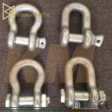 Carbon Steel Forged Shackle (Bow / Dee)