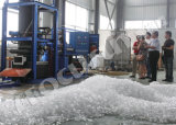 Focusun 1-100tons Tube Ice Plant