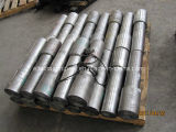 Forgings Shaft/ Stainless Steel Forging (ELIDD-SHC8)