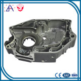 Professional Advanced OEM Customized Precision Casting (SY0184)