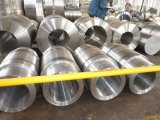 Forged/Forging Tube/Pipe
