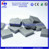 Tungsten Carbide Cold Forging Dies / Strips / Boards / Disc Cutters / Insert Tools