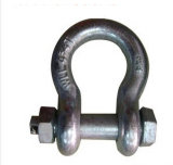 Drop Forged Bolt-Type Shackles