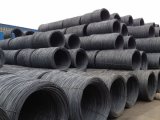 Cold Forging Wire Rod, Steel, Swrch18A
