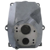 OEM Cast Iron/Ductile Casting/Aluminium Casting Pump Parts