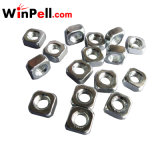Cold Forging Nut / Stainless Steel Cold Forging
