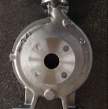 Ss 316 Pump Casing for Goulds