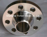ANSI Stainless Steel Wn Pipe Flange
